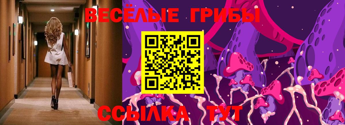 Галлюциногенные грибы Cubensis  Вход с VPN  Люберцы 